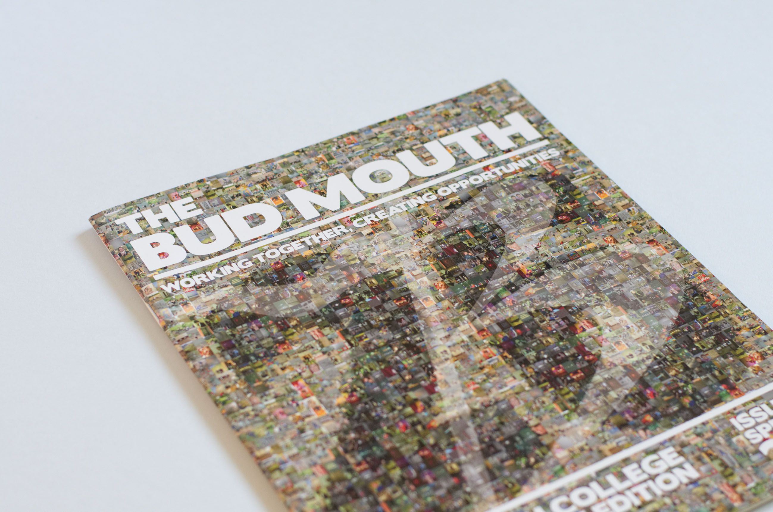Budmouth School